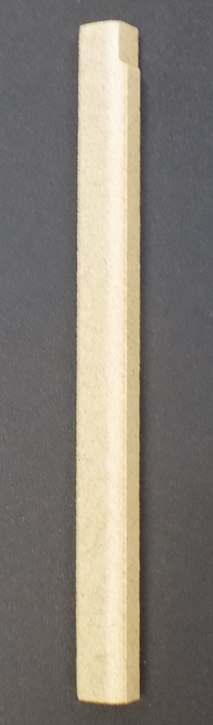 Dan Skan Nuro 120 M Seitenstein rechts vorne